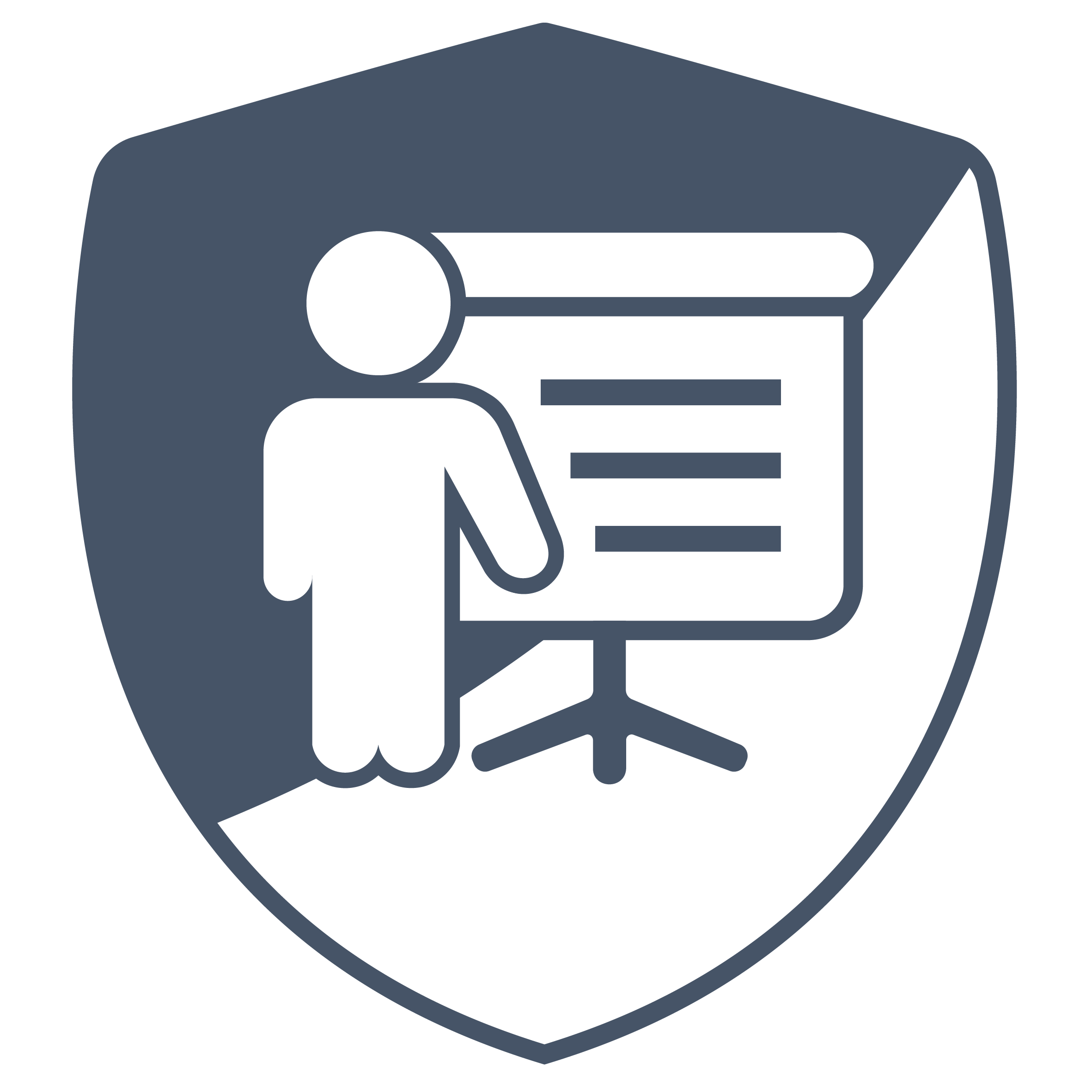 Pragmatic Web Security logo