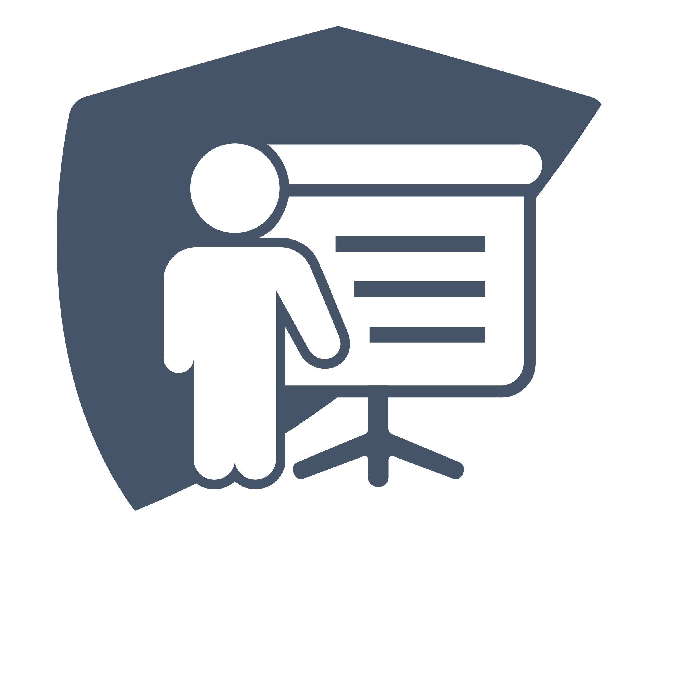 Pragmatic Web Security logo